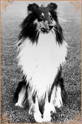 Black Cane Take Milove