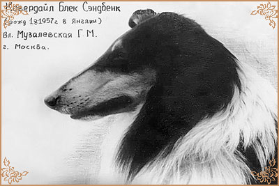 Coverdale Black Sandbank