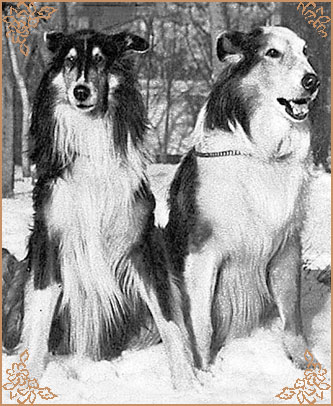 Coverdale Black Sandbank