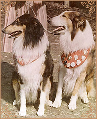 Coverdale Black Sandbank