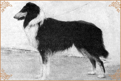 Coverdale Black Sandbank