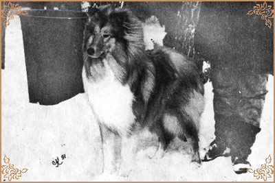 Don Karlovo Zastaveni