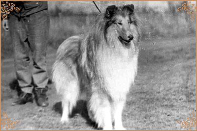 Don Karlovo Zastaveni