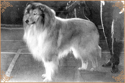 Don Karlovo Zastaveni