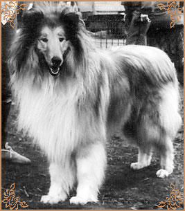 Don Karlovo Zastaveni