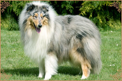 Eagle Eyes du Clos des Duchesses