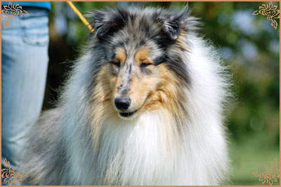 Eagle Eyes du Clos des Duchesses