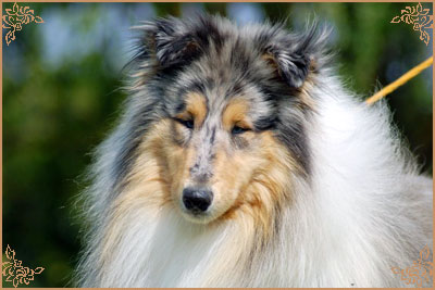 Eagle Eyes du Clos des Duchesses