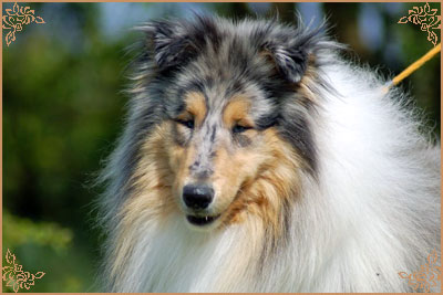 Eagle Eyes du Clos des Duchesses