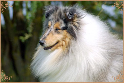 Eagle Eyes du Clos des Duchesses