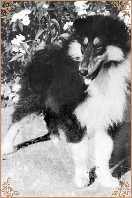 Egon Jolanska Zahrada