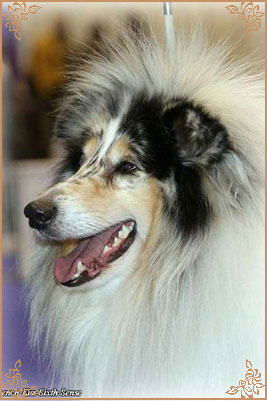 French Kiss Sixth Sense