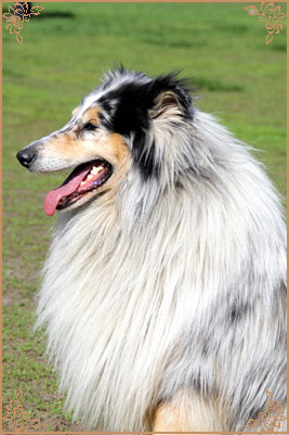 French Kiss Sixth Sense