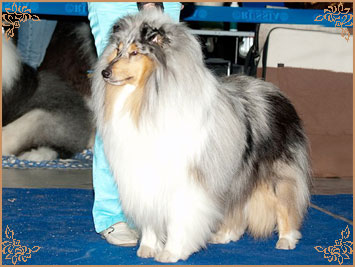 Fresh Look Boning Snow