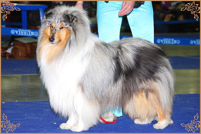 Fresh Look Boning Snow