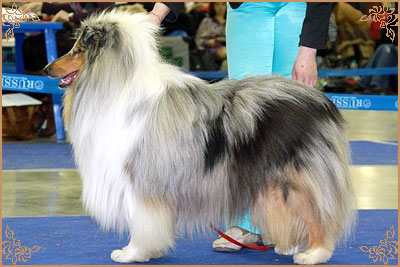 Fresh Look Boning Snow