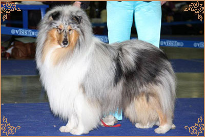 Fresh Look Boning Snow