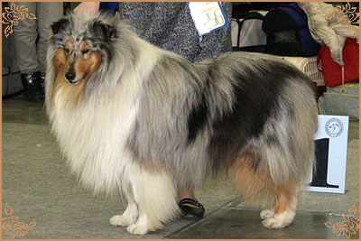 Fresh Look Boning Snow