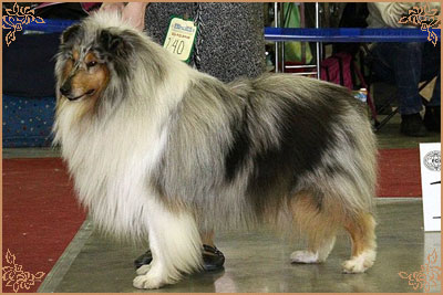 Fresh Look Boning Snow