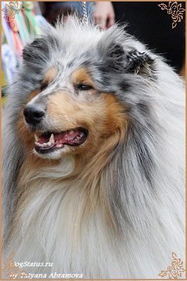 Fresh Look Boning Snow