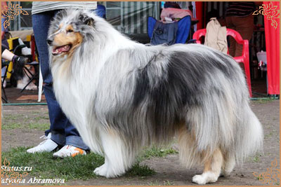 Fresh Look Boning Snow