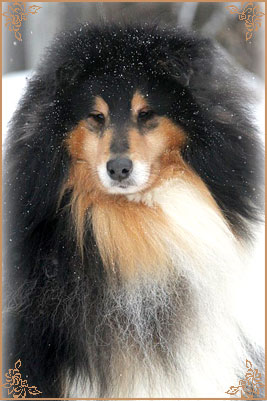 Gemastra Hot Chocolate