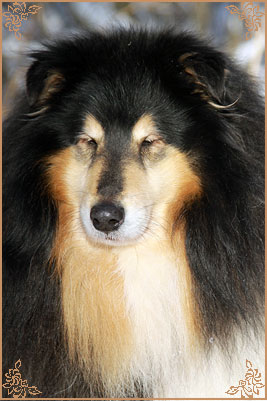 Gemastra Hot Chocolate