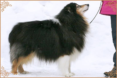 Gemastra Hot Chocolate