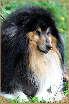 Gemastra Hot Chocolate