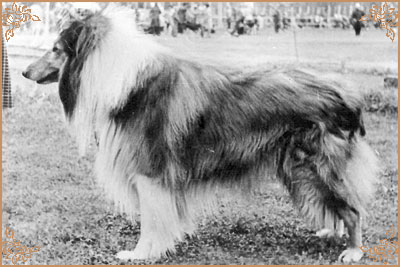 Gerry vom Salzaspring