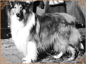 Gerry vom Salzaspring