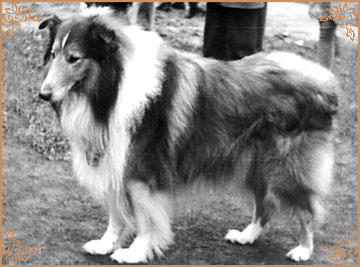 Gerry vom Salzaspring