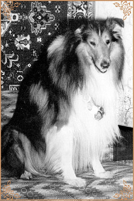 Gerry vom Salzaspring