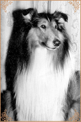 Gerry vom Salzaspring