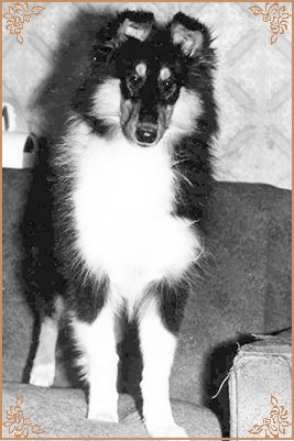 Gloria Jolanska Zahrada