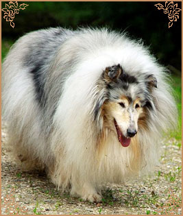 Golden Game One For Me