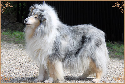 Golden Game One For Me