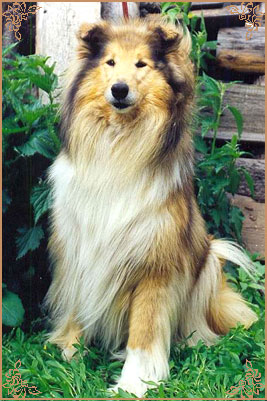 Golden Gates Centre-Full Girl