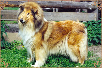 Golden Gates Centre-Full Girl