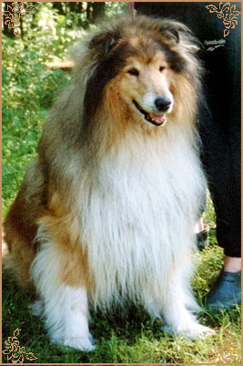 Golden Gates Quick Master