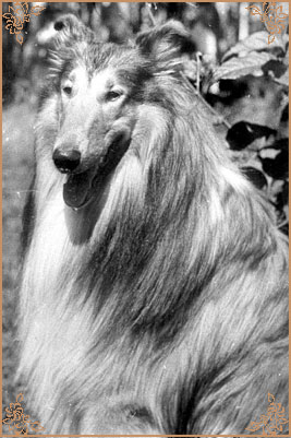 Golf vom Salzaspring