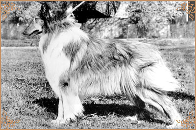 Hanka vom Salzaspring