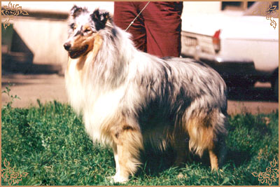 Happy Husar ze Zlate Jalny