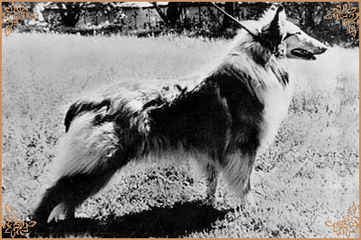 Hatifa vom Salzaspring