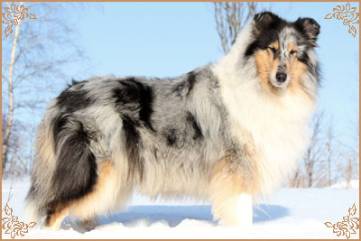 Heavenly Crystal Sixth Sense