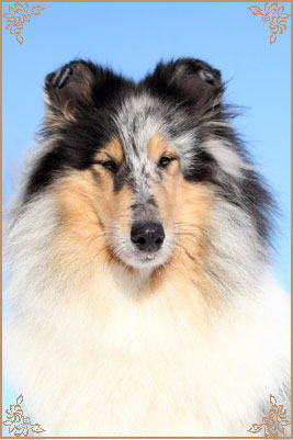 Heavenly Crystal Sixth Sense