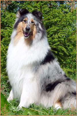 Heavenly Crystal Sixth Sense