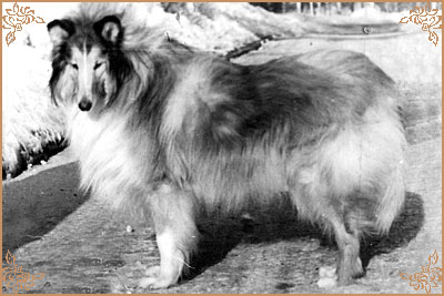 Hetter z Ilina Udoli