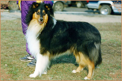 Holiday Black Kevin Junior