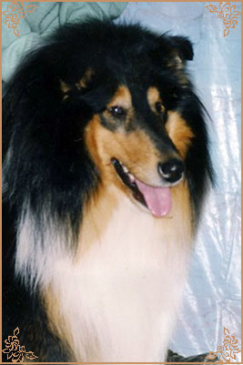 Holiday Black Kevin Junior